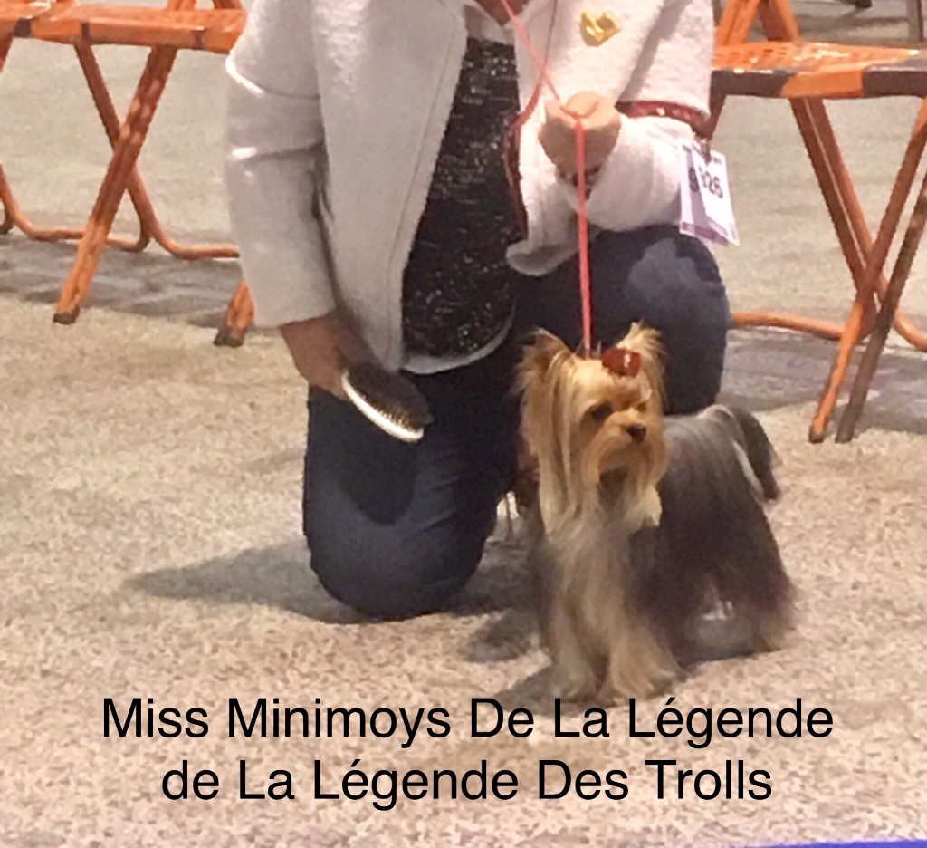 de la légende des trolls - Exposition de Nantes 2017 Miss Minimoys 