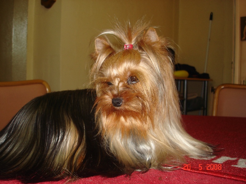 photos